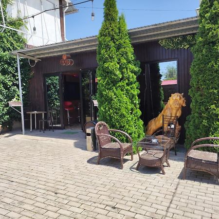 В Гостях На Иссык-Куле Hotel Cholpon-Ata Ngoại thất bức ảnh